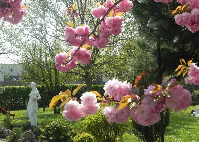 Il Maglio Hotel Imola