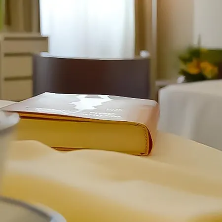 Il Maglio Hotel Imola