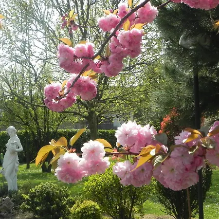 Il Maglio Hotel Imola